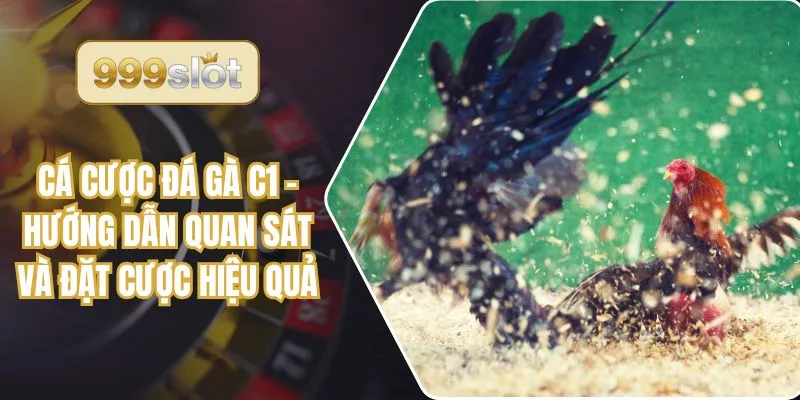 Cá Cược Đá Gà C1 – Hướng Dẫn Quan Sát Và Đặt Cược Hiệu Quả