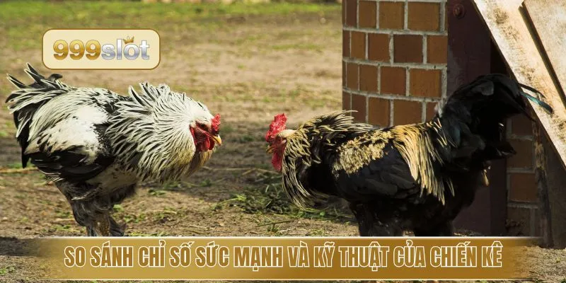 So sánh chỉ số sức mạnh và kỹ thuật của chiến kê
