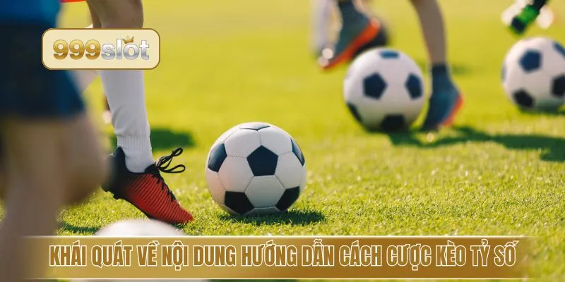 Khái quát về nội dung hướng dẫn cách cược kèo tỷ số