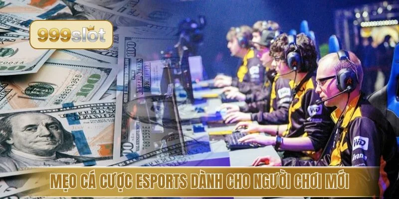 Mẹo cá cược Esports dành cho người chơi mới